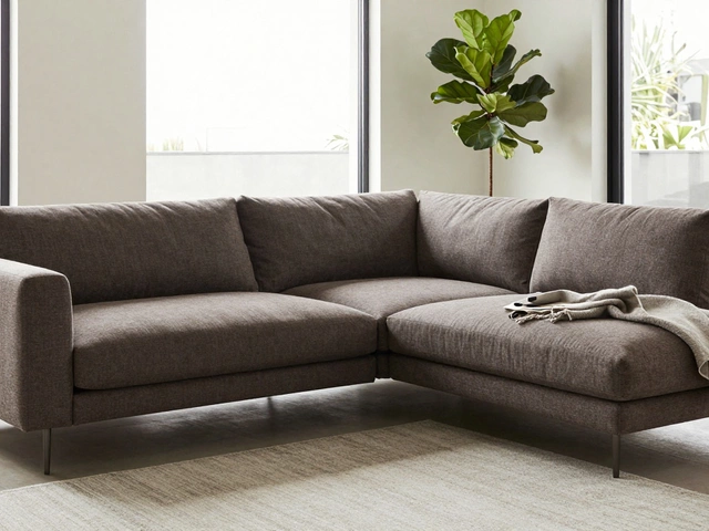 What Is the Trend in Corner Sofas in 2024?